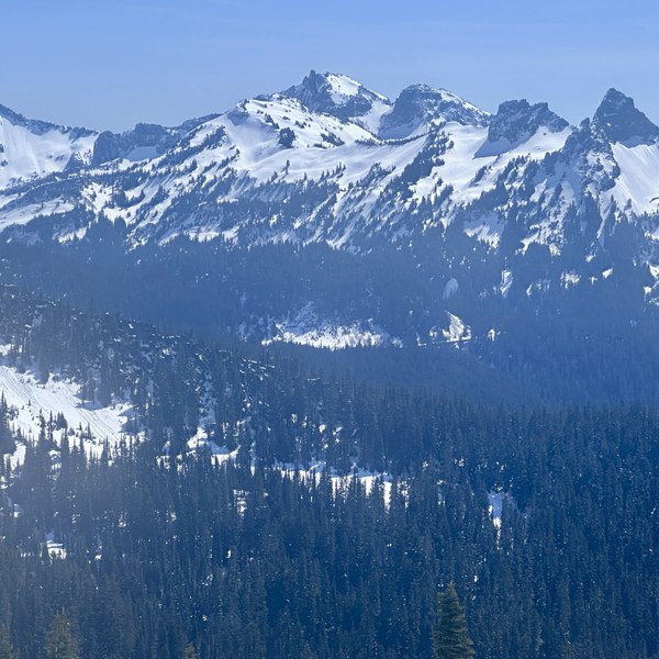 IMG_0467.jpeg IMG_0467.jpeg