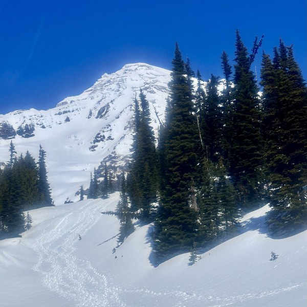 IMG_0476.jpeg IMG_0476.jpeg