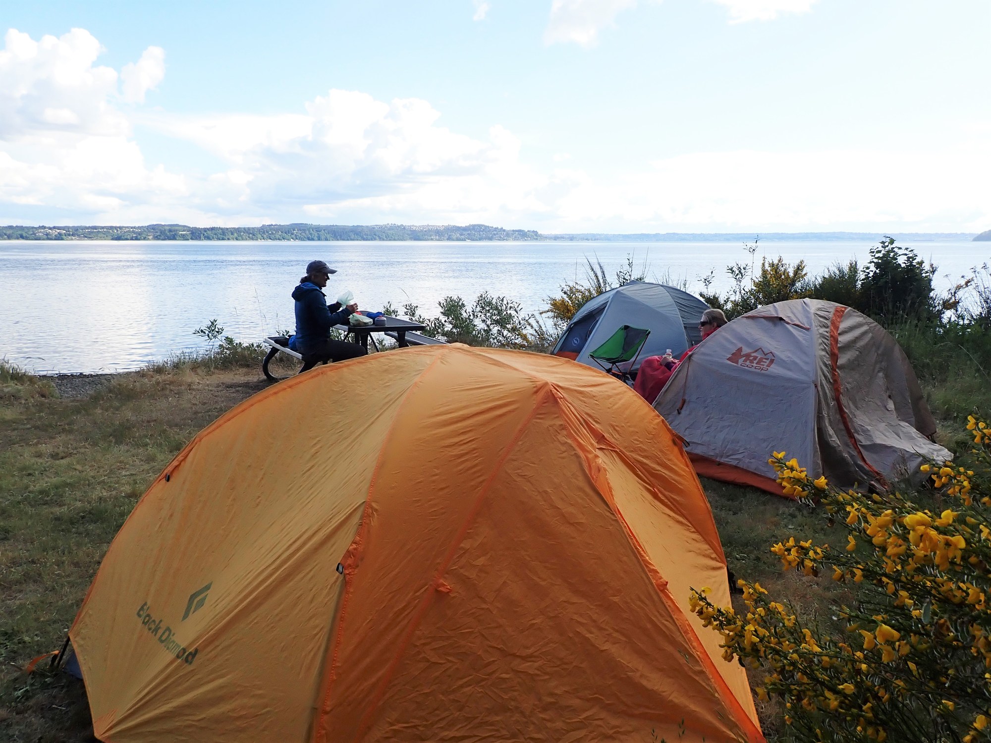 The Group Site View.JPG