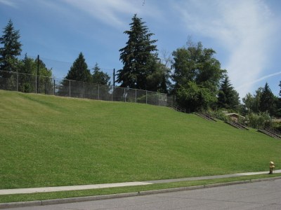 View Ridge Playfield