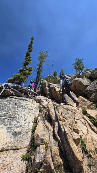 Up the Ridge from the Pass.jpg