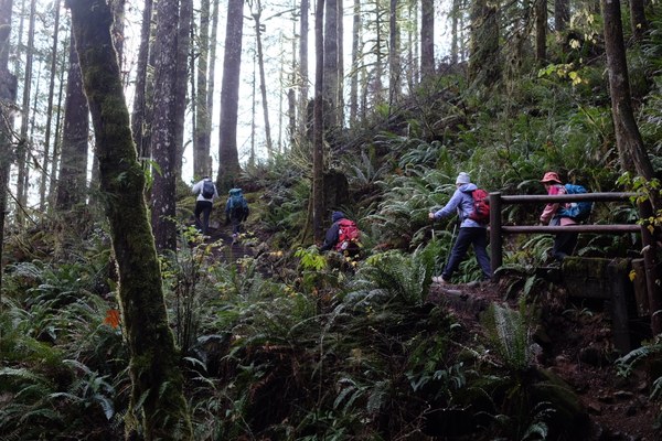 703FE5F7-AC4E-4641-A1A3-522214F1791F-70132-000009BAB4ED984E.jpeg 703FE5F7-AC4E-4641-A1A3-522214F1791F-70132-000009BAB4ED984E.jpeg