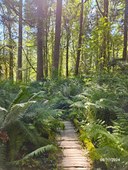 20240811_W Elwha2.jpg