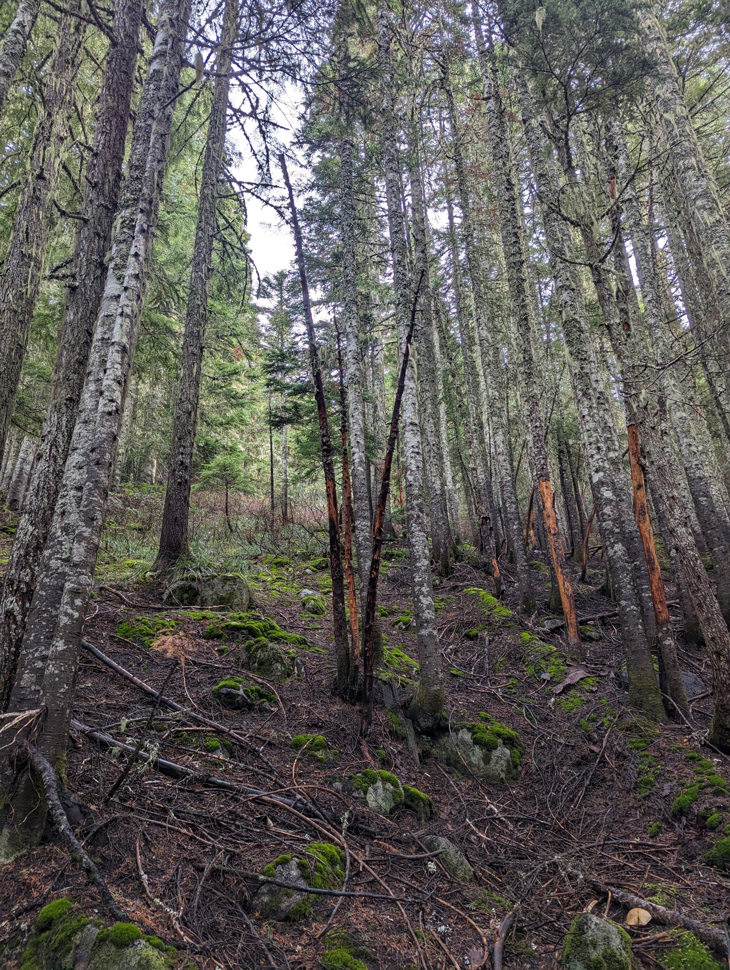 PXL_20231105_174347571 (1).jpg