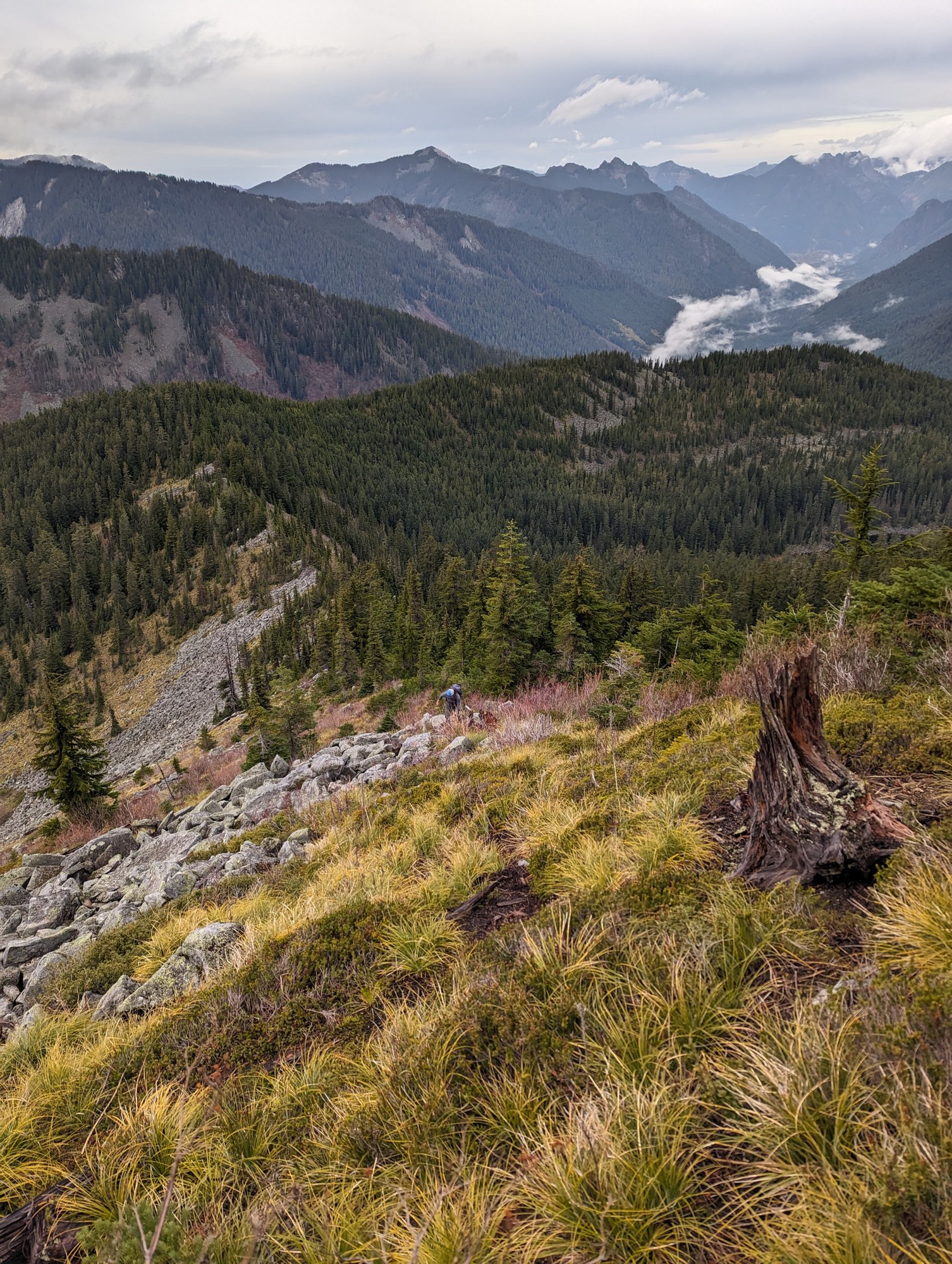 PXL_20231105_184605243 (1).jpg