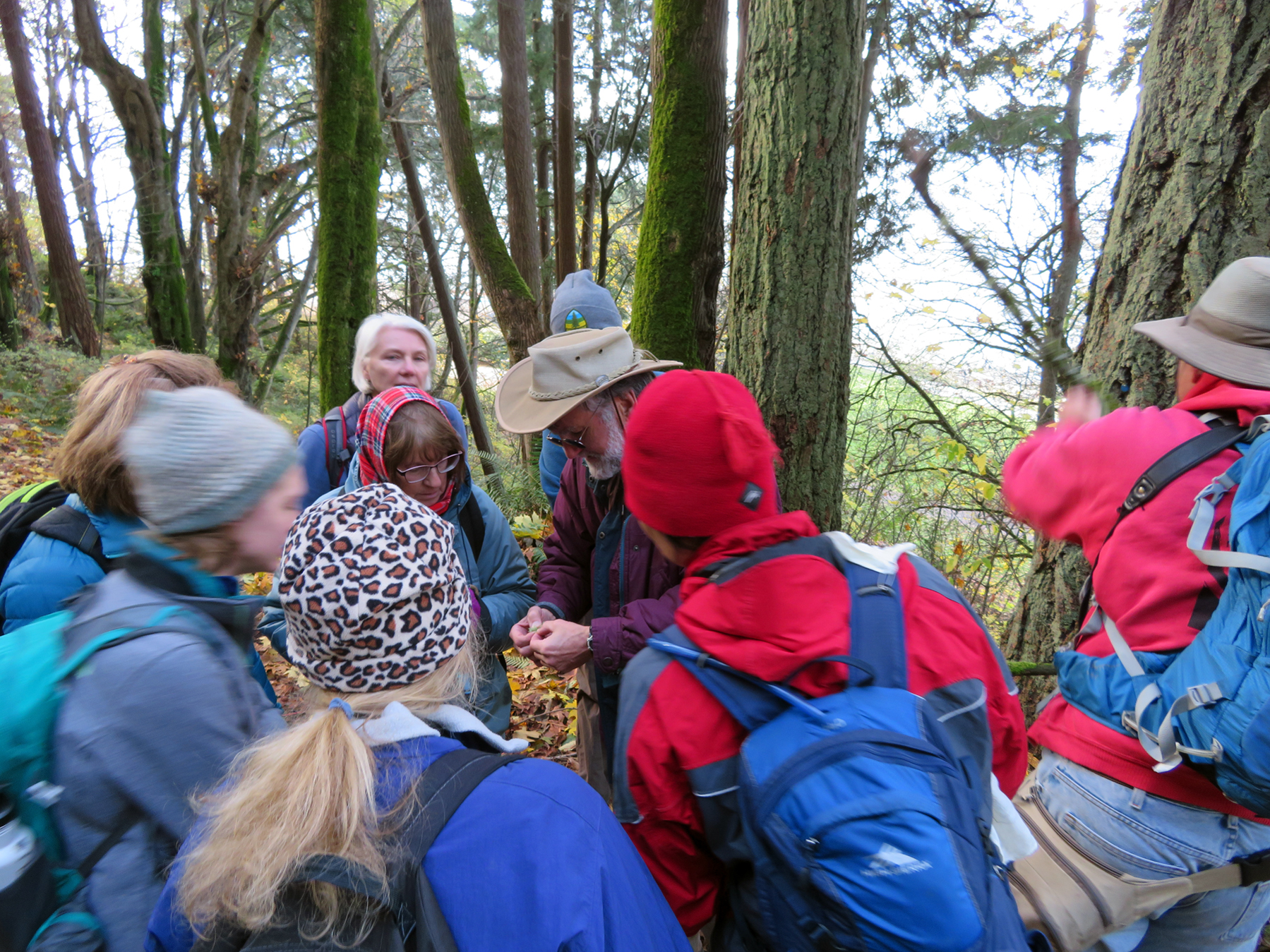 Studying lichens in Lincoln Park.jpg