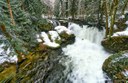 Whatcom Falls