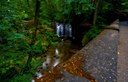 Whatcom Falls - Bridge.jpg