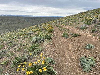 Whiskey Dick Mountain