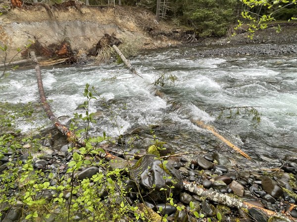 Huckleberry Portage.jpg