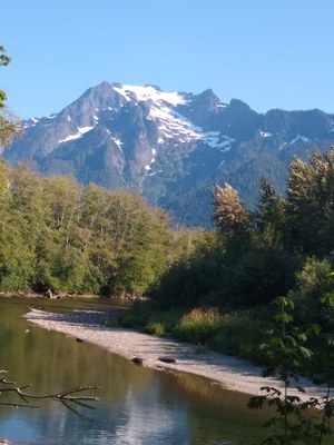 Whitehorse Mountain/Northwest Shoulder