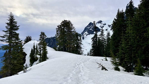 20250510_141033707_iOS 1.jpg