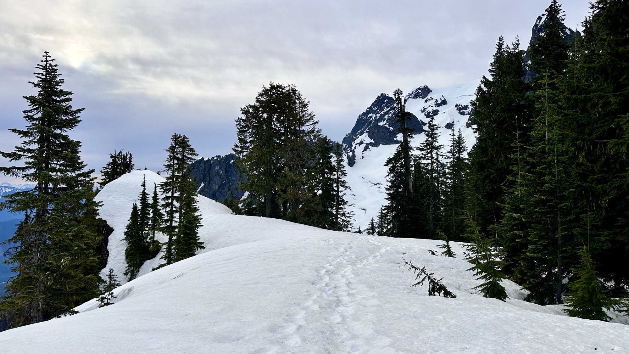 20250510_141033707_iOS 1.jpg