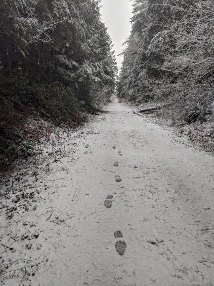 Footsteps on the trail taken by Joshua Stein