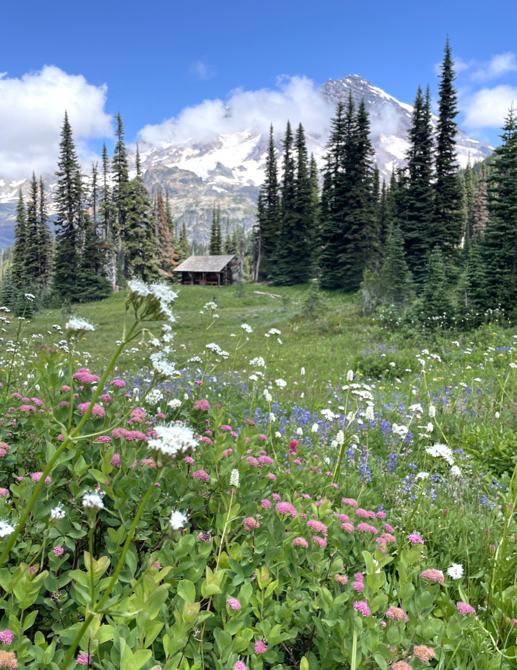 Screen Shot 2023-08-15 at 6.50.51 AM.png