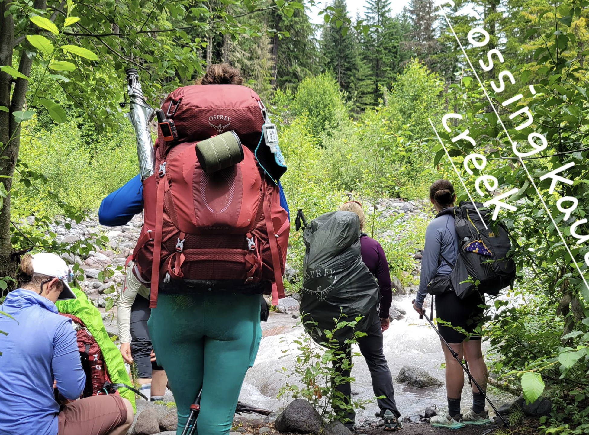 Screenshot 2024-08-01 at 3.37.58 PM.png