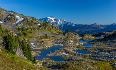 Yellow Aster Butte