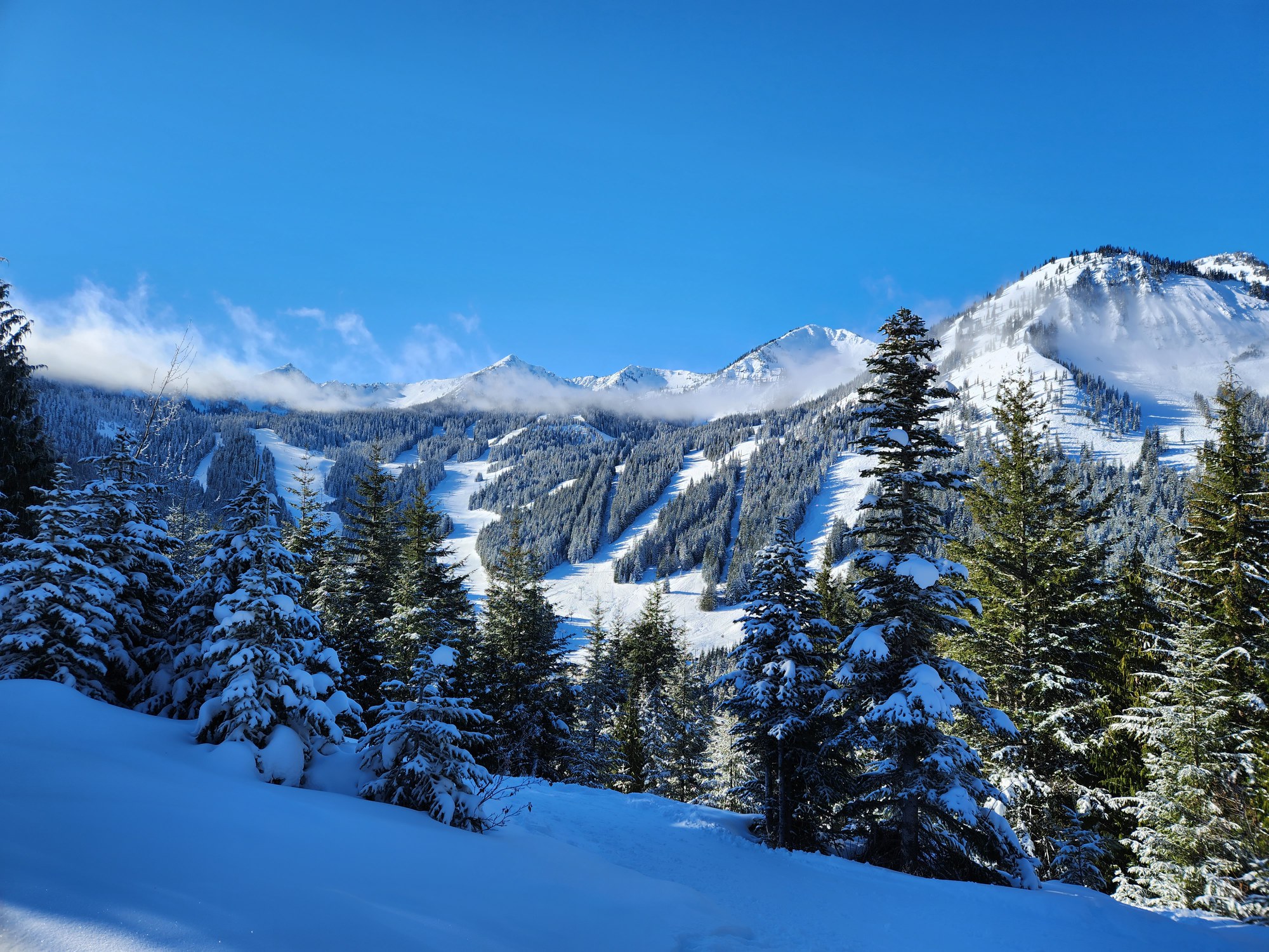 Basic Snowshoe Crystal Mountain Ski Area — The Mountaineers