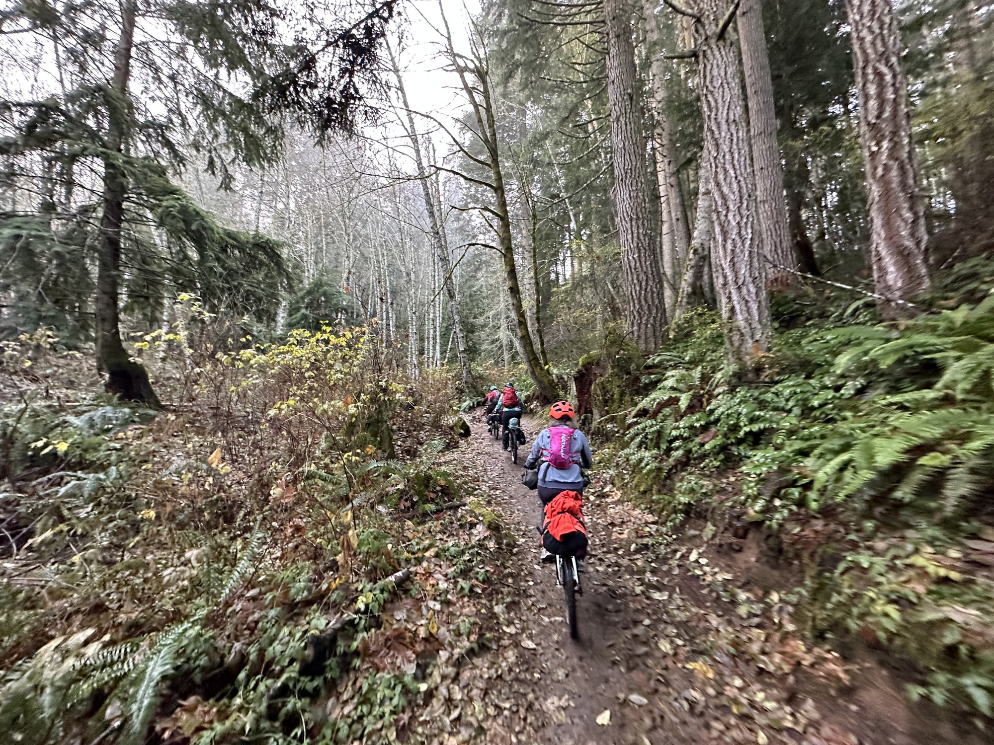 Bikepack Olympic Discovery Trail Olympic Adventure Route — The Mountaineers