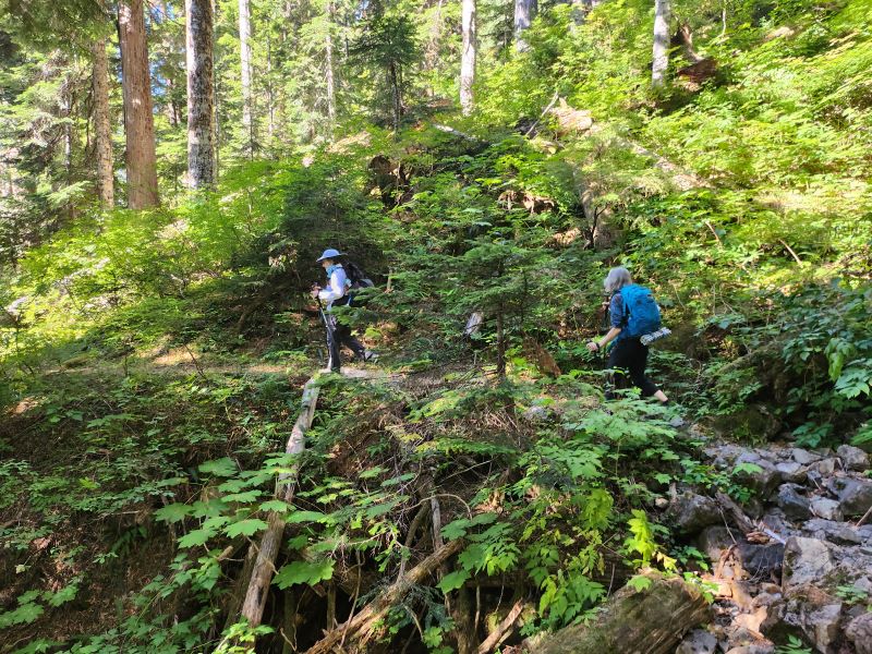 Day Hike Church CreekSatsop Lakes — The Mountaineers