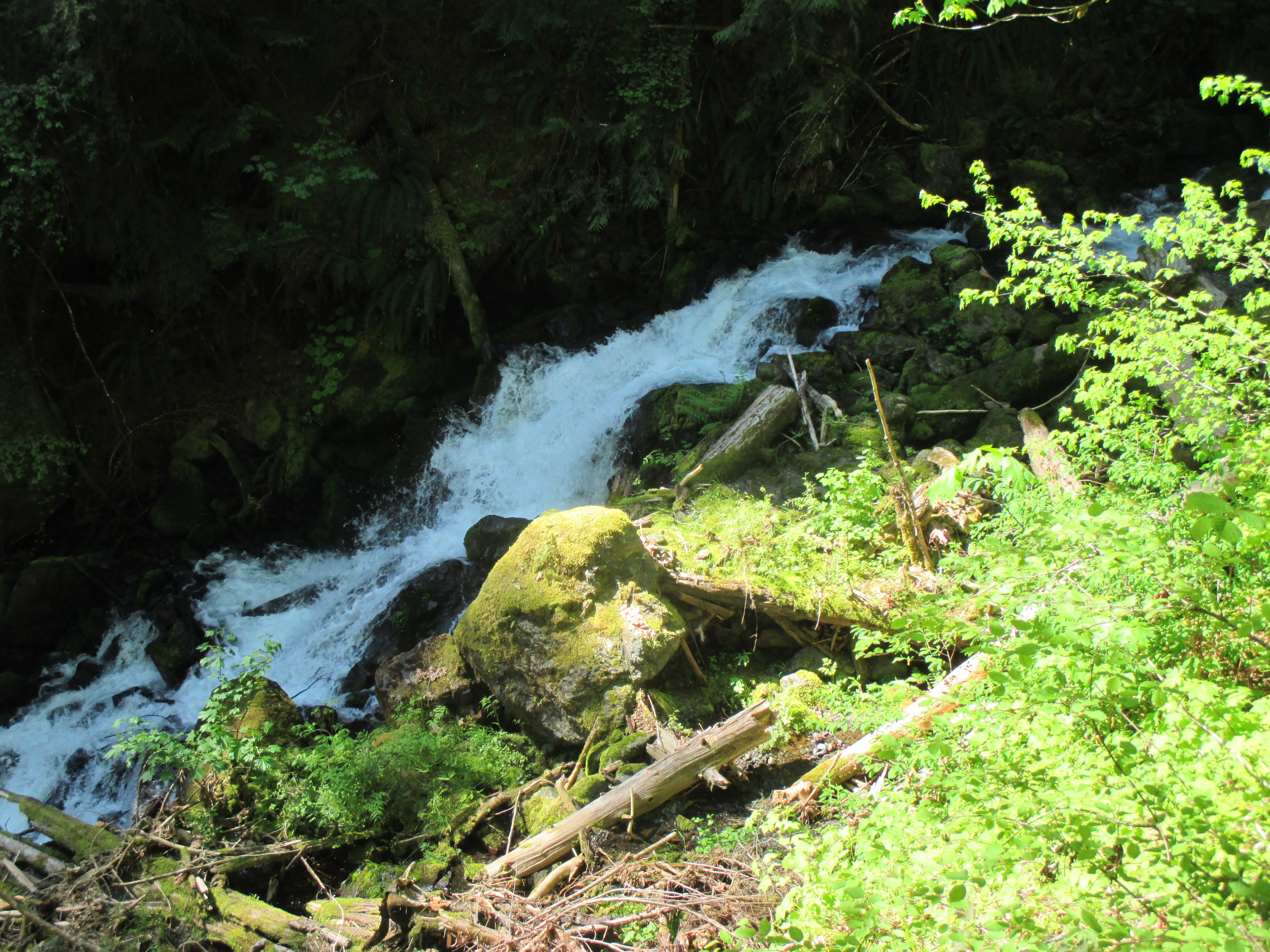 Day Hike Copper Creek — The Mountaineers