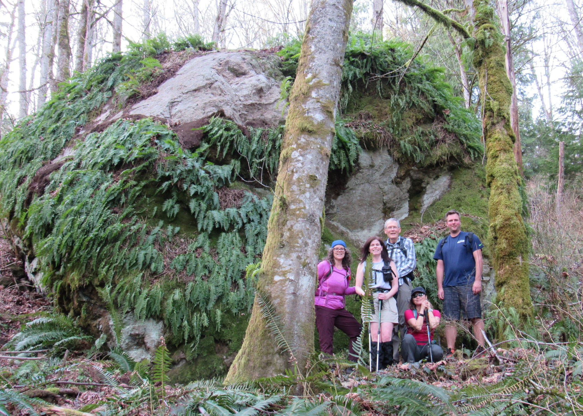 Day Hike Cougar Mountain Loop — The Mountaineers