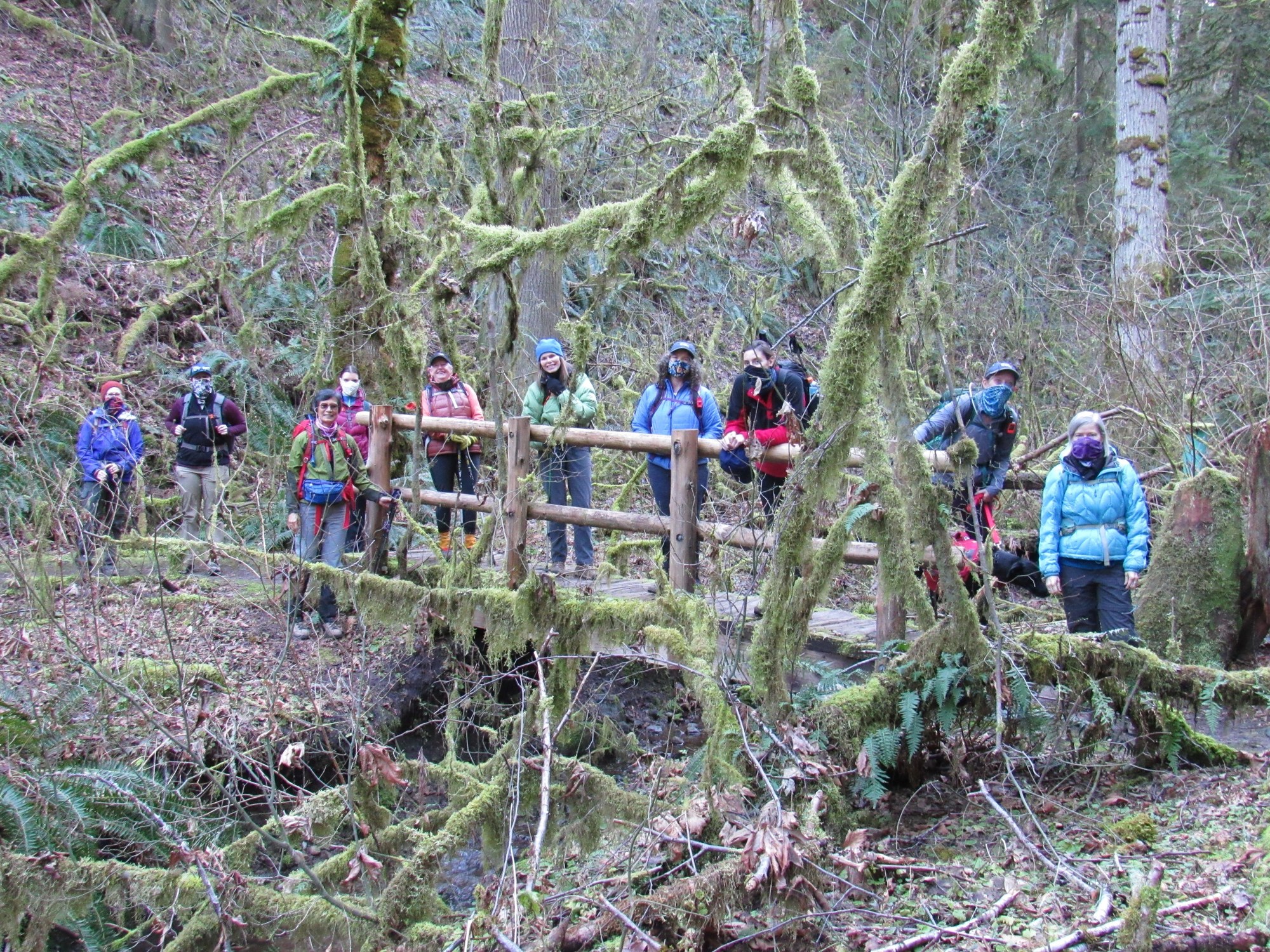 Day Hike Licorice Fern Trail — The Mountaineers