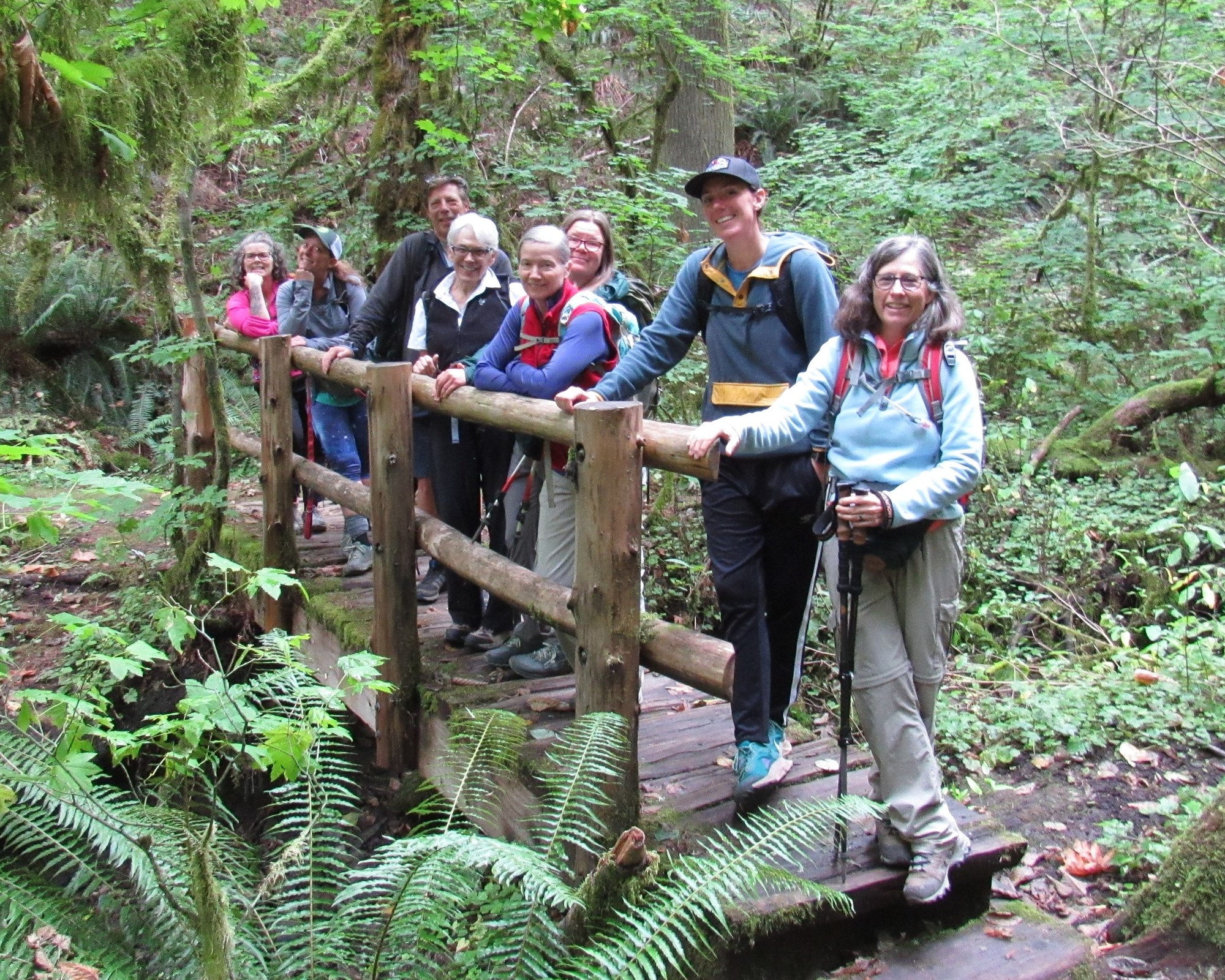Day Hike Licorice Fern Trail — The Mountaineers