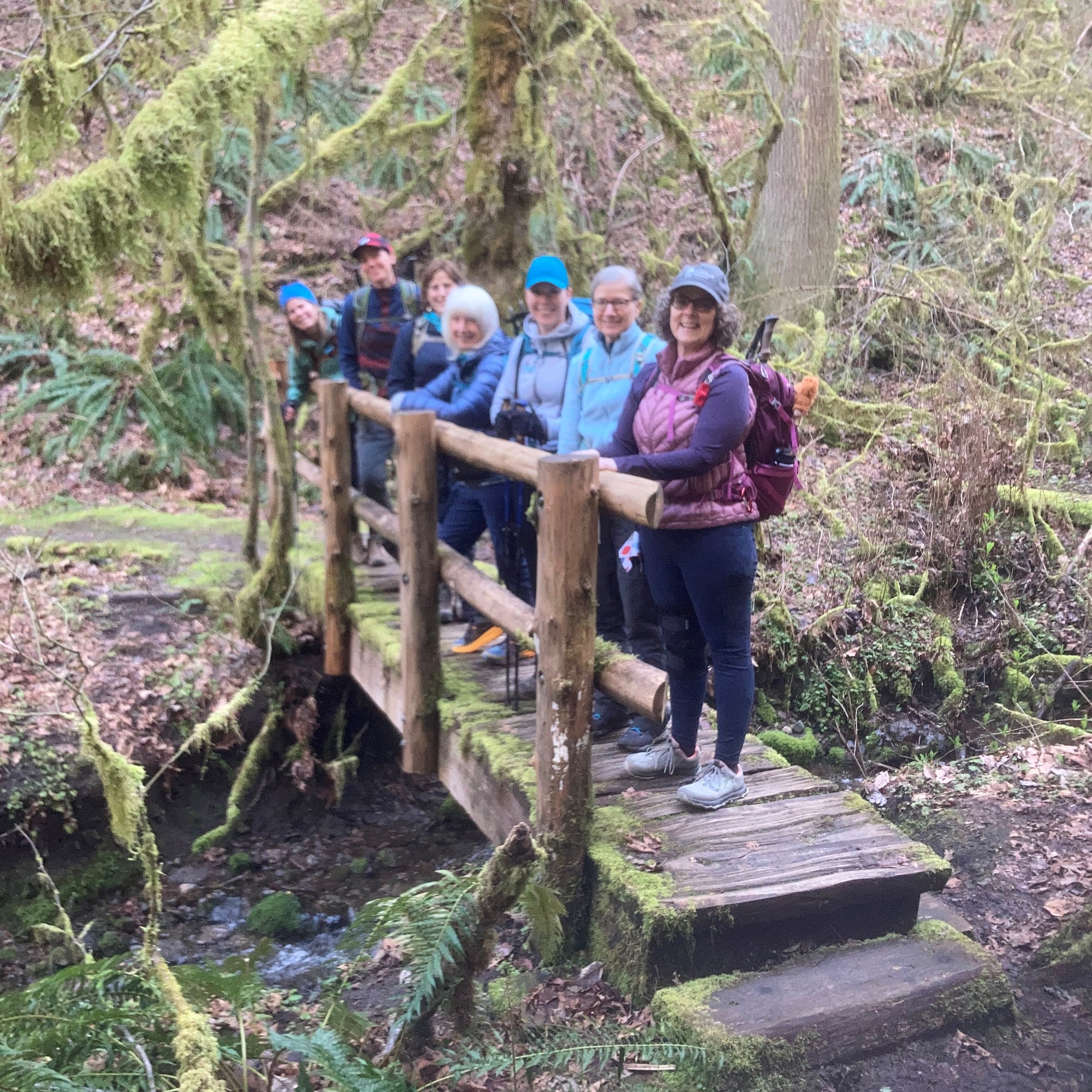 Day Hike Licorice Fern Trail — The Mountaineers