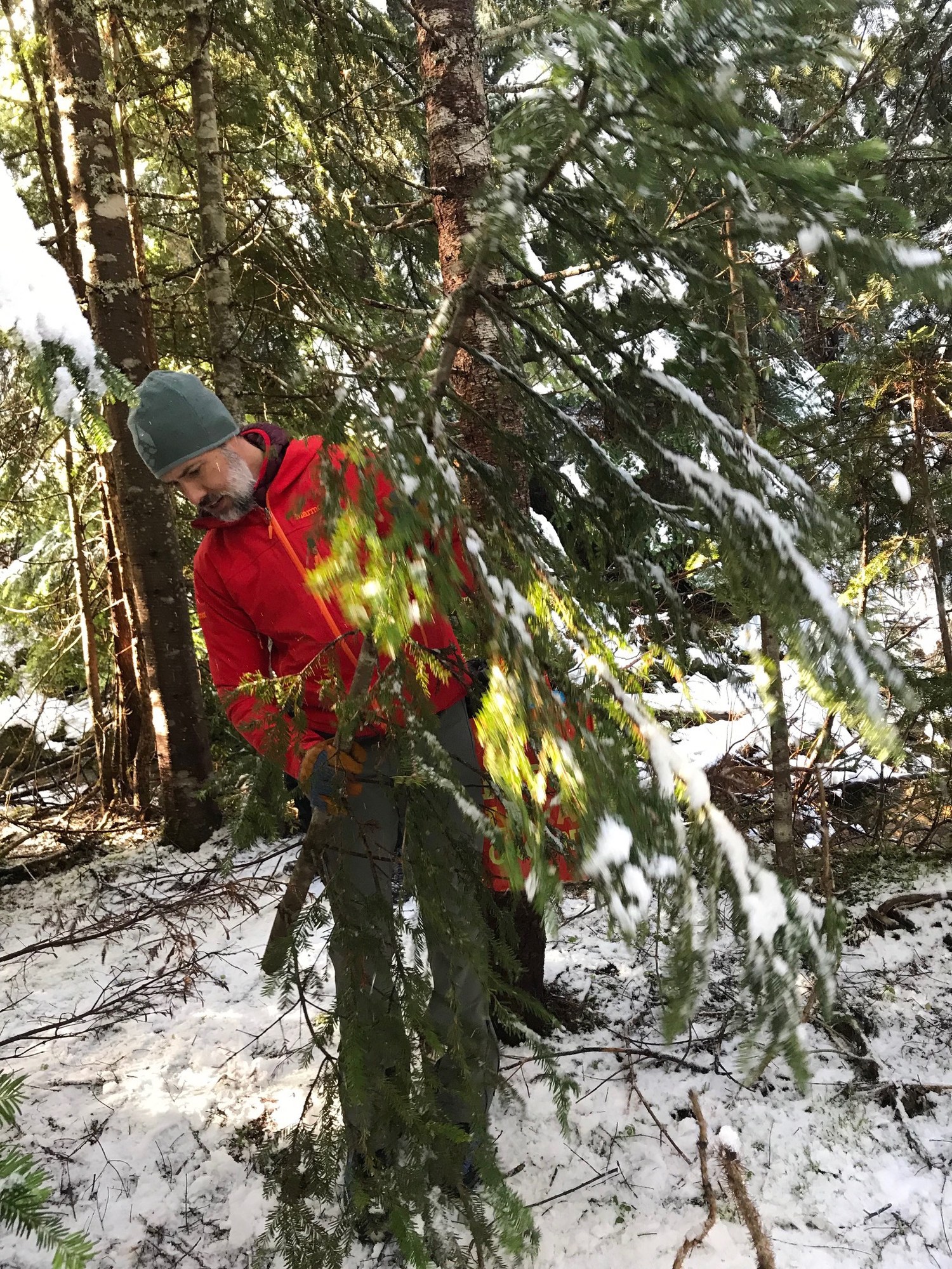 Day Hike North Bend Ranger Station — The Mountaineers