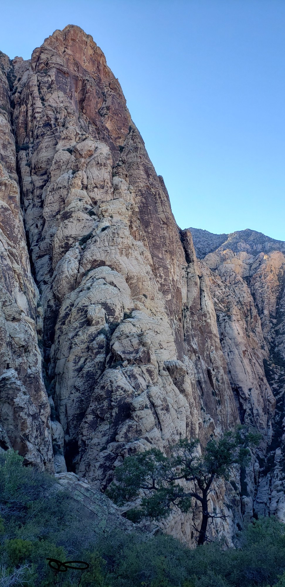 Epinephrine Black Velvet Wall Red Rocks Canyon — The Mountaineers