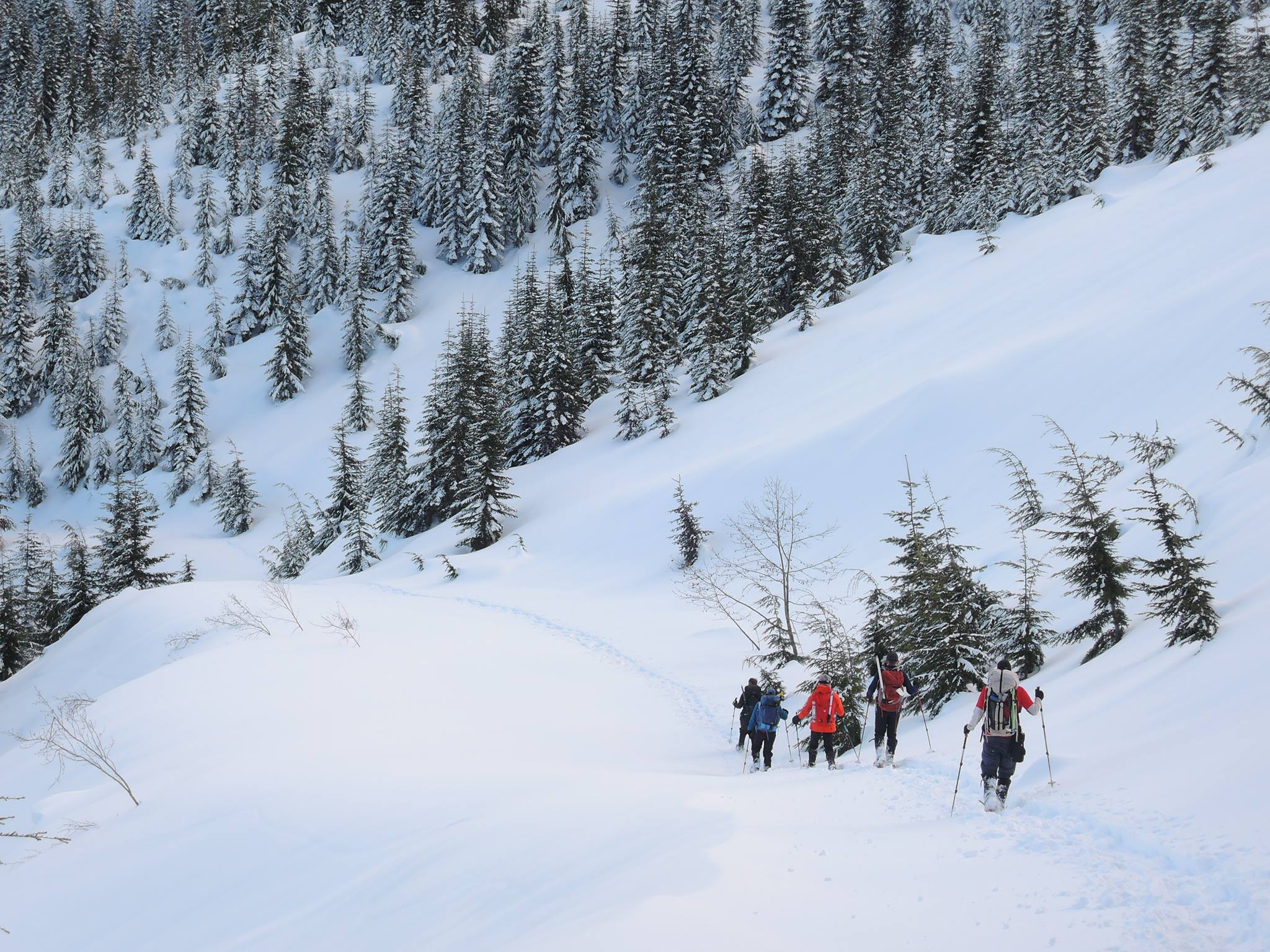 Intermediate Snowshoe Mount Gardner — The Mountaineers