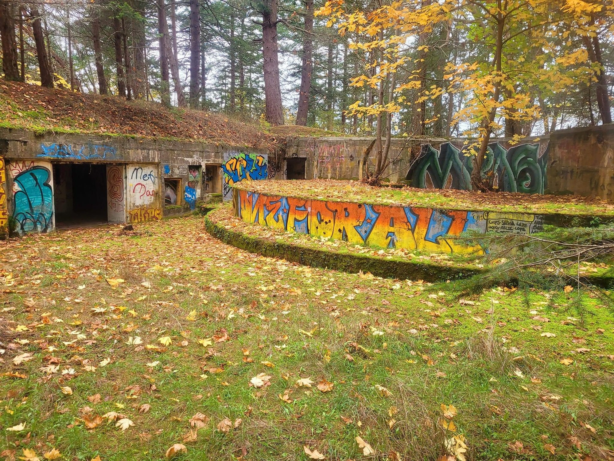 Sea Kayak Goat Island — The Mountaineers