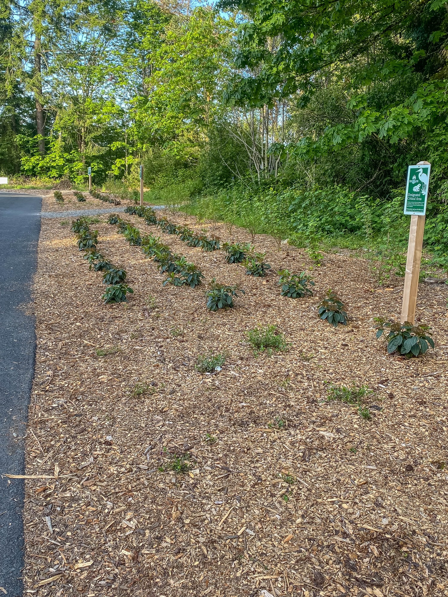 Shoreview & Boeing Creek Parks — The Mountaineers
