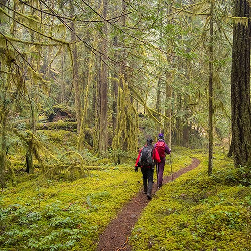 Conservation & Advocacy