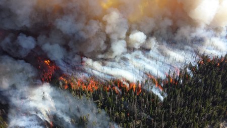2021 Wildfire Closures and Resources