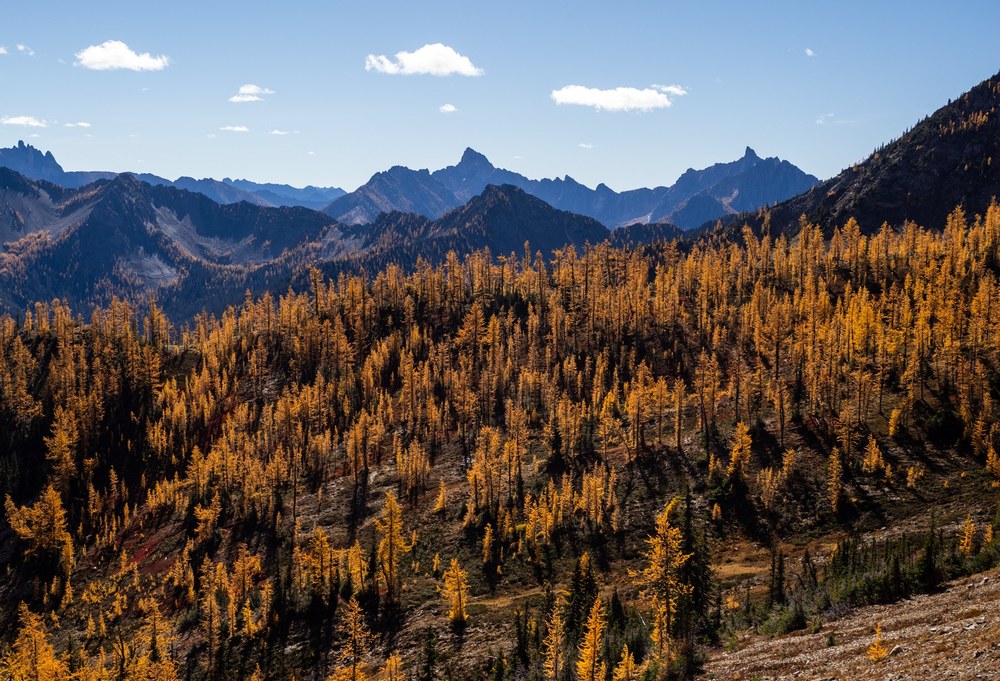 2025 Fall Conservation Policy Update Recap