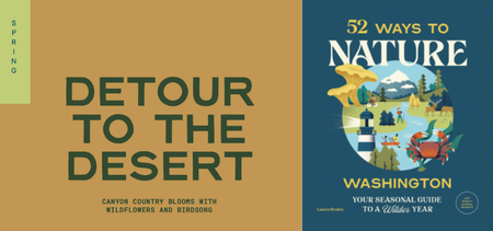 52 Ways to Nature Washington: #17 Detour to the Desert