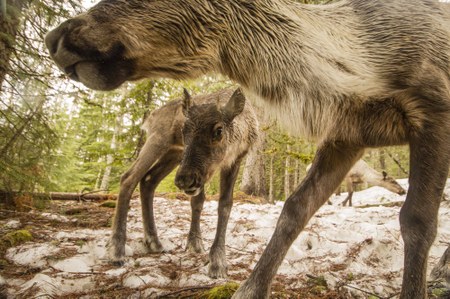 Powerful Books Inspire Conservation - #GiveBIG this May