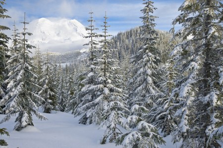 A Hidden Winter Gem: Going Hut-to-Hut in Western Washington
