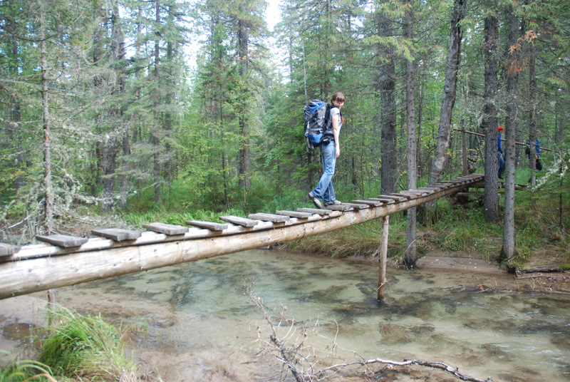 A Hiker's Guide to Trail Architecture — The Mountaineers