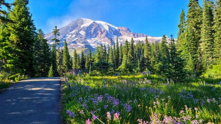Big Changes Proposed for Mount Rainier National Park
