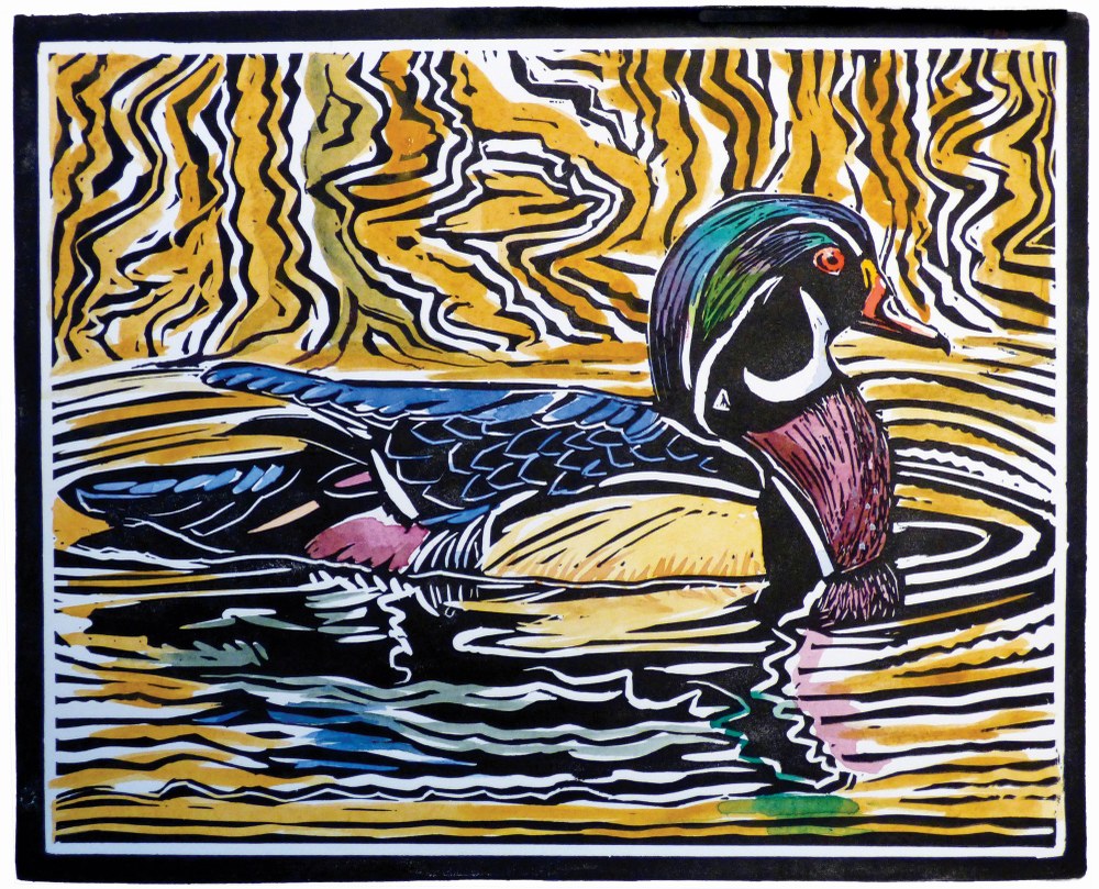 Birds of the West - Exploring Wetlands