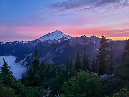 Conservation Currents | A Brighter Future for Washington’s Forests