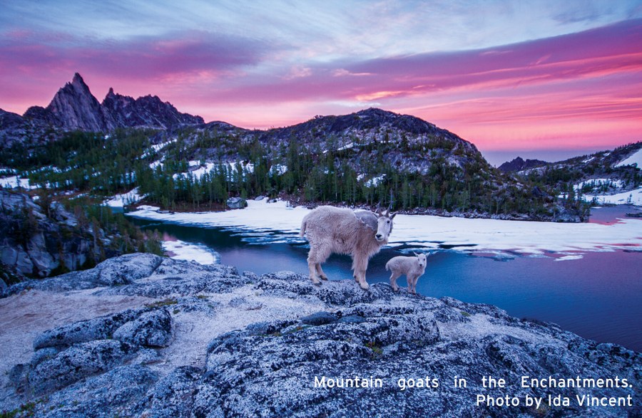 Creating Conservationists: Our Voice