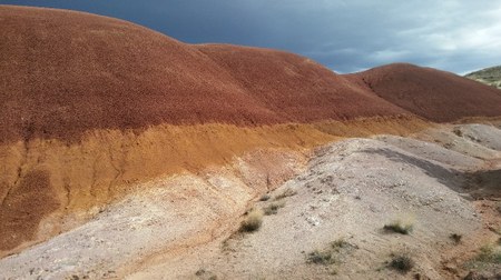 Did You Know? The John Day Fossil Beds National Monument