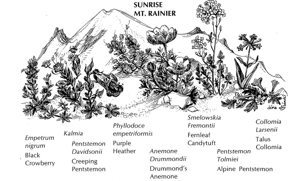Fifty Years Ago, and Still Now: A Look Back at the 1975 Mountaineer Annual