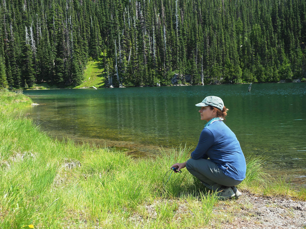 Foothills Volunteer Spotlight: Renee Lenti