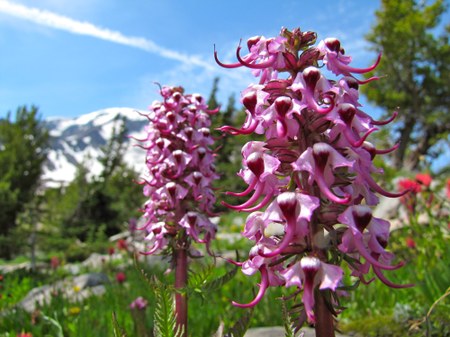 #GiveBIG for Outdoor Education