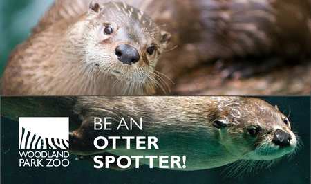 Happy World Otter Day! - Citizen Science Opportunity